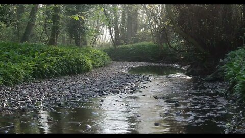 SLEEP FOR 9 HOURS TO THE SOUNDS OF A FOREST RIVER | DARK SCREEN