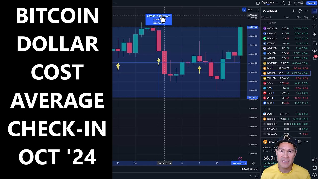 Bitcoin Dollar Cost Average (DCA) performance after four weeks