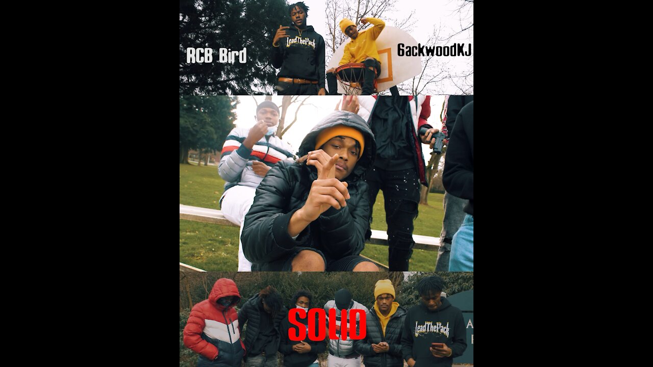 (Preview) SOLID -Bird x 6ackwoodKJ | DIR by || Zach Olson