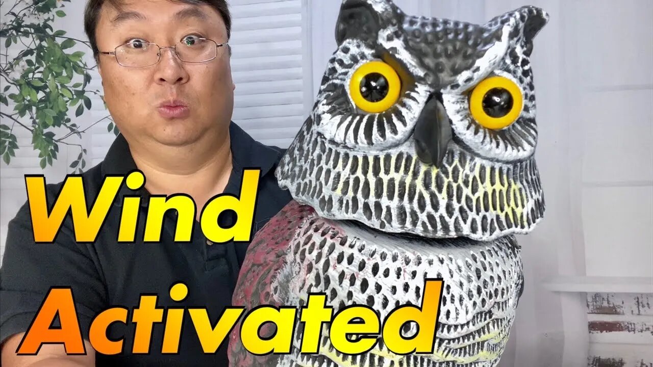 This Fake Owl Scares Away Birds With A Swiveling Head