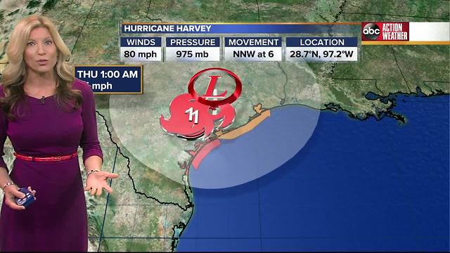 Hurricane Harvey Forecast with Shay Ryan on Saturday, August 26, 2017 (9AM)