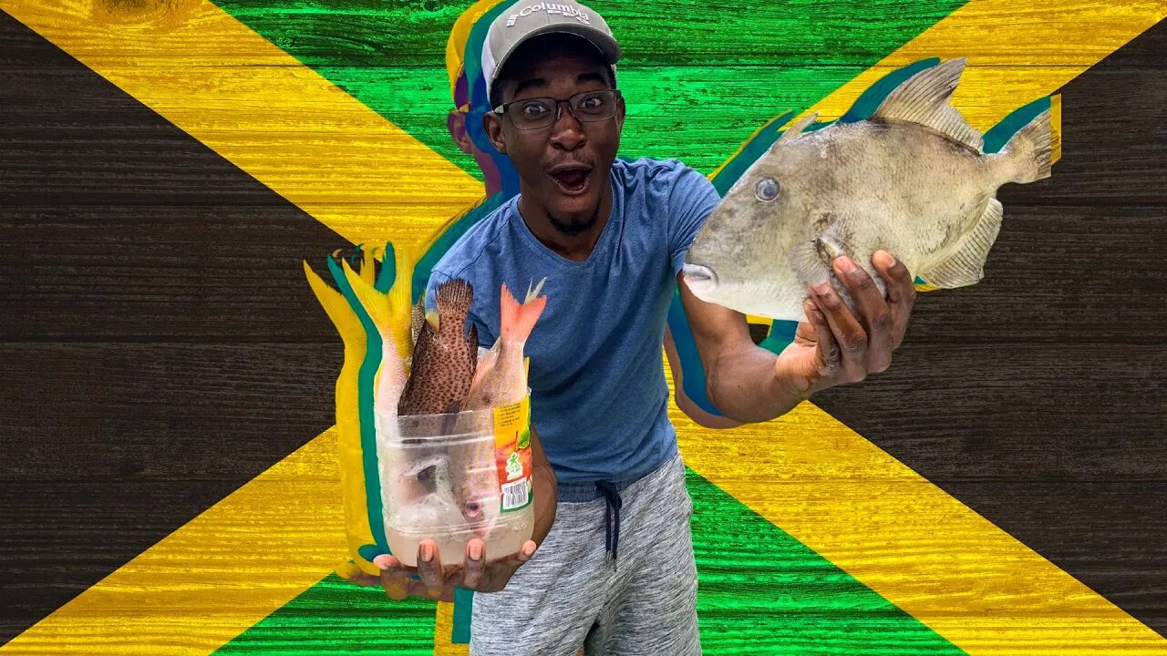 How to CATCH and COOK REEF fish.. JAMAICAN STYLE!! (Jamaican Brown Stew Fish) Cooking with my Mom