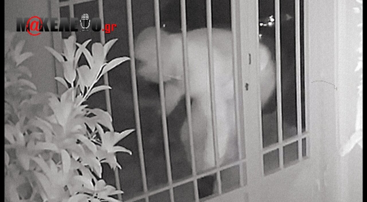 Νέο βίντεο με τον εκτελεστή του Στέφανου Χίου