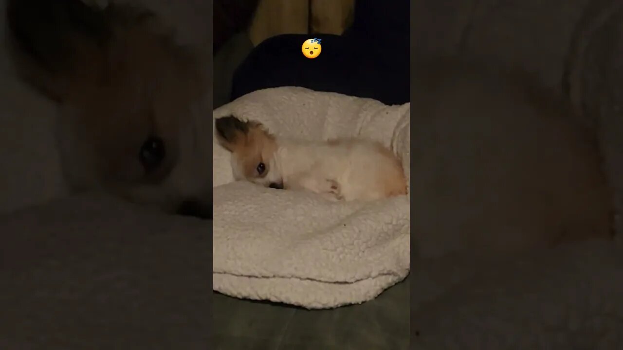 da sleepy hittin'