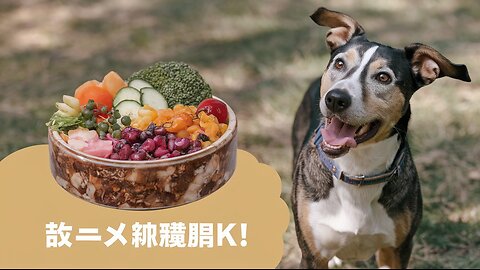 了解天然食品如何改变您的狗的健康。