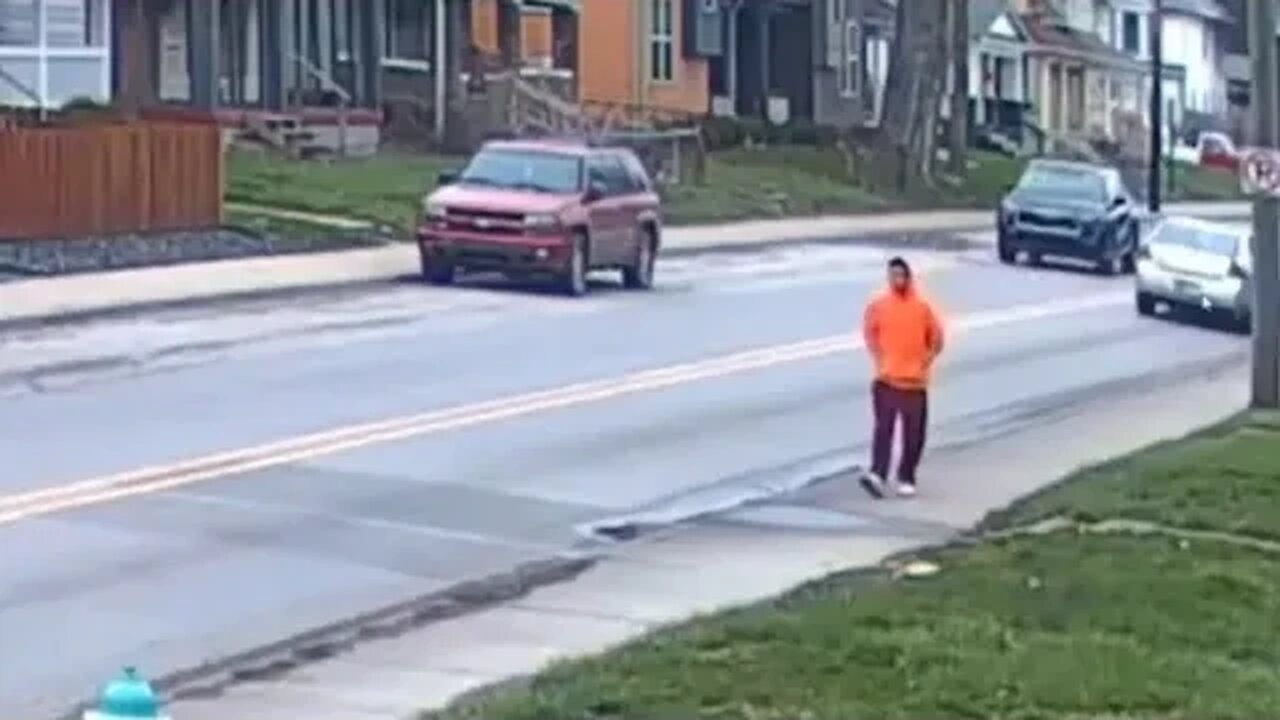 Green Light Tony Pizza.