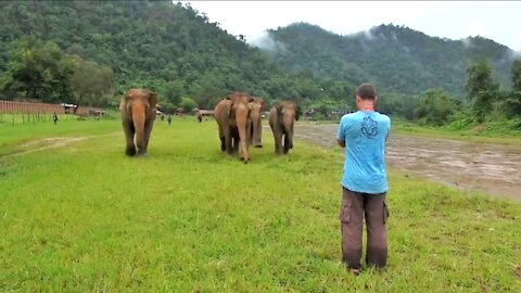 A Man Call Elephant In Different Angle. | Man Vs Elephant |