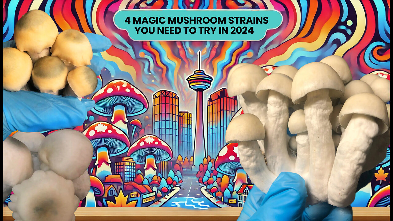 The Top 4 Magic Mushroom Strains You Need To Try in 2024