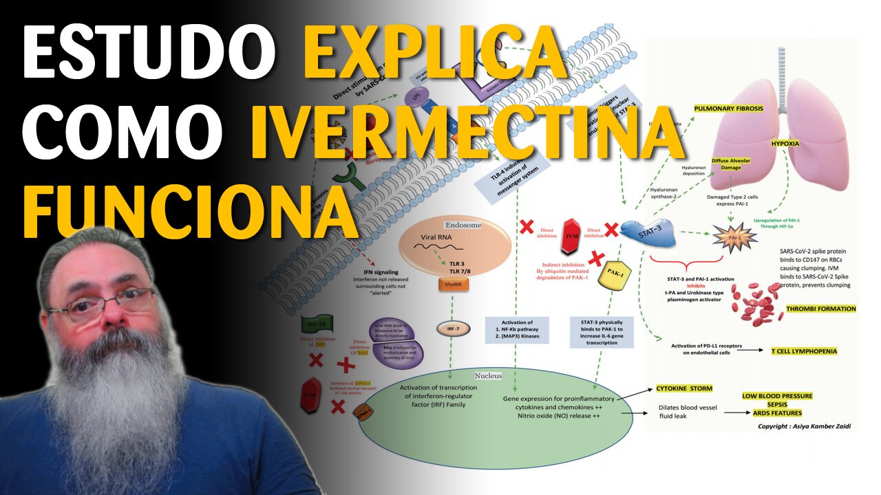 Além das correlações estatísticas, exista a explicação biológica da ação da ivermectina