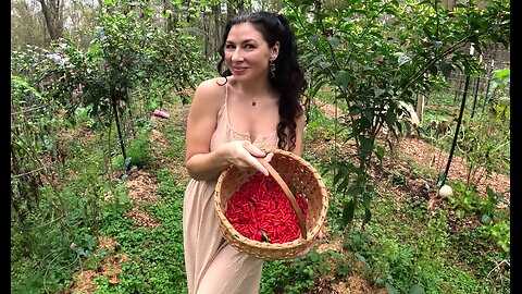 Picking Peppers in the Rain VLOG