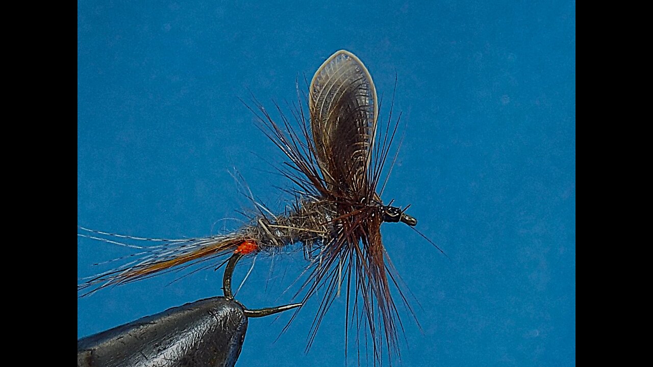 The Best Origami is From Miami and March Brown Fly Blues Is In Anglers Boots