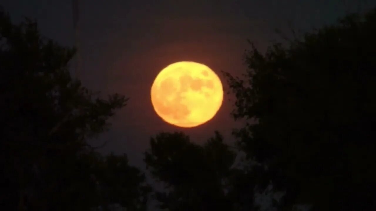 Huge Harvest Moon