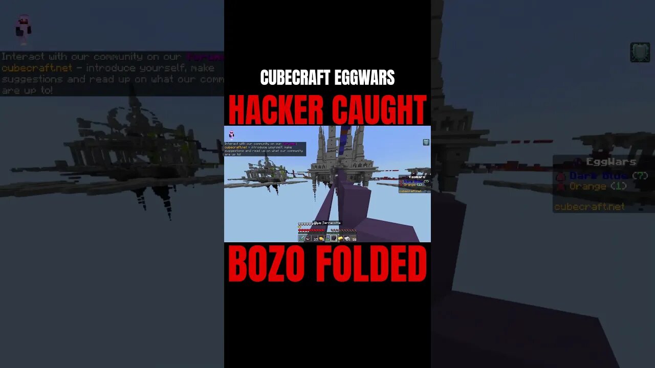 Hacker Caught and BOZO FOLDED