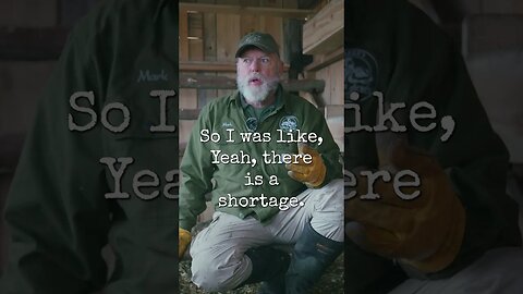 Egg Shortages?! #shorts #homesteading #eggshortages