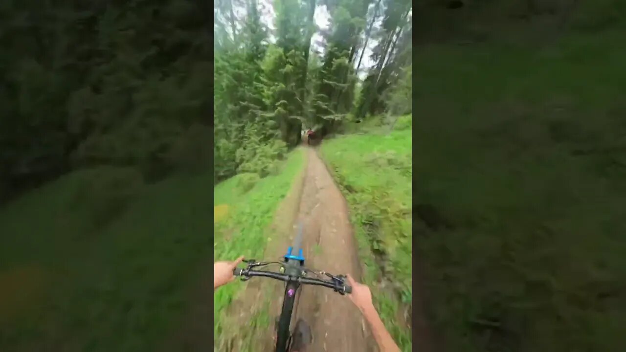 Proof Italy Has The Best Trails🤌