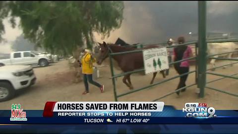 Reporter saves horses from CA fires