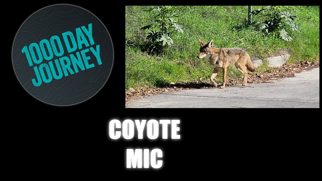 1000 Day Journey 0189 Coyotes and Microphones