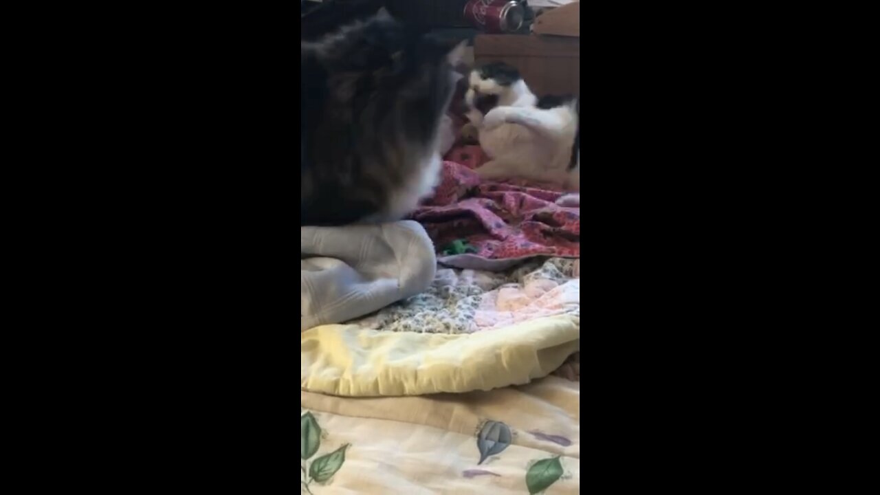 Not friends