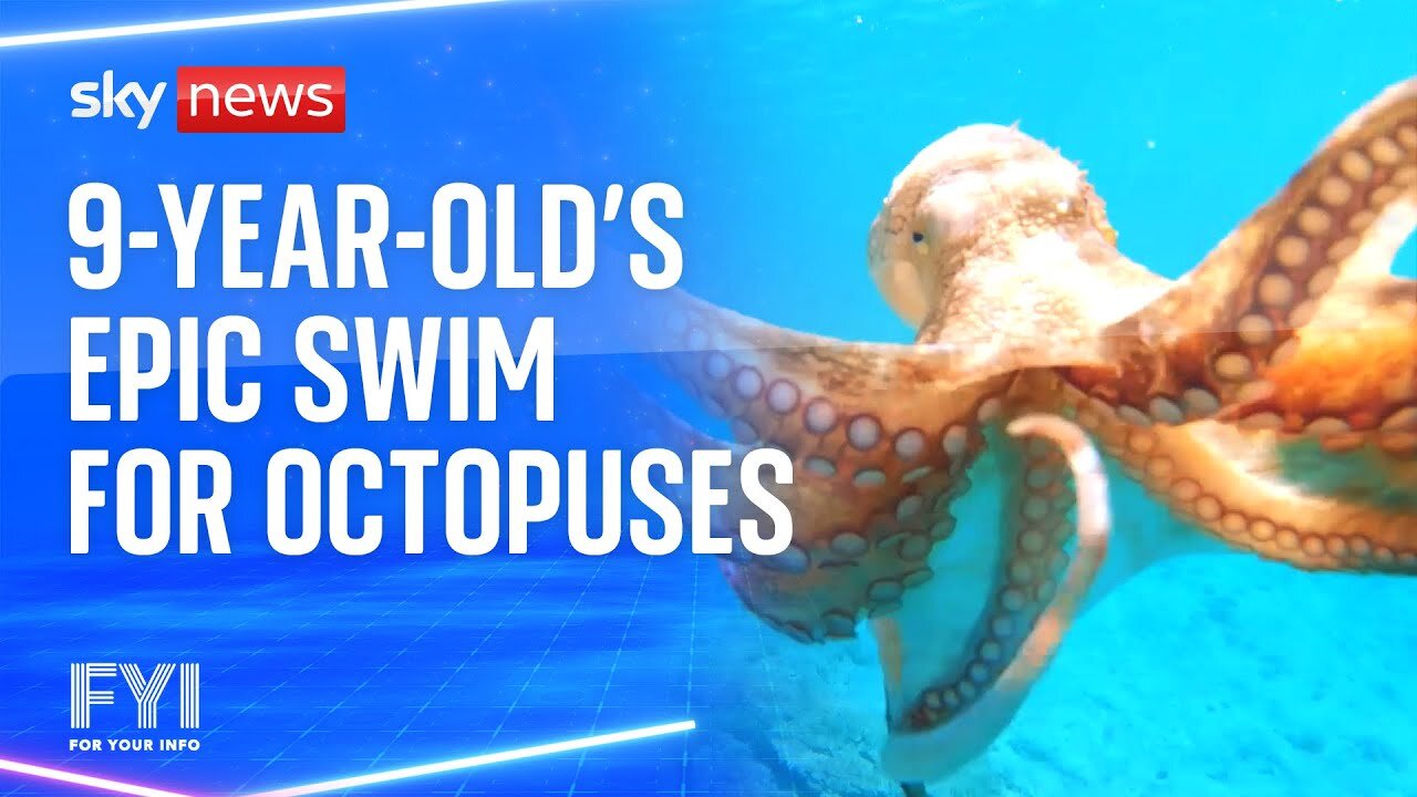 FYI: Nine-year-old swims 2km to raise awareness of octopuses