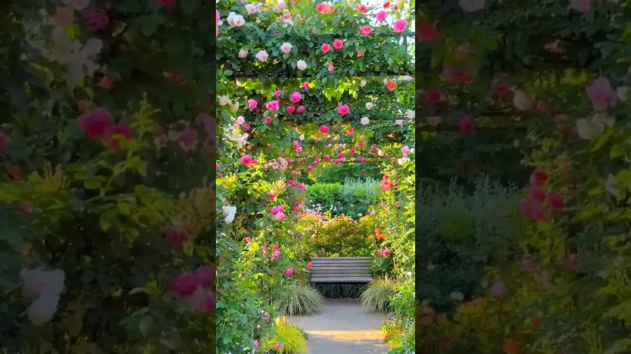 Beautiful flowers : This Was Unexpected!! #nature #beautiful #flowers