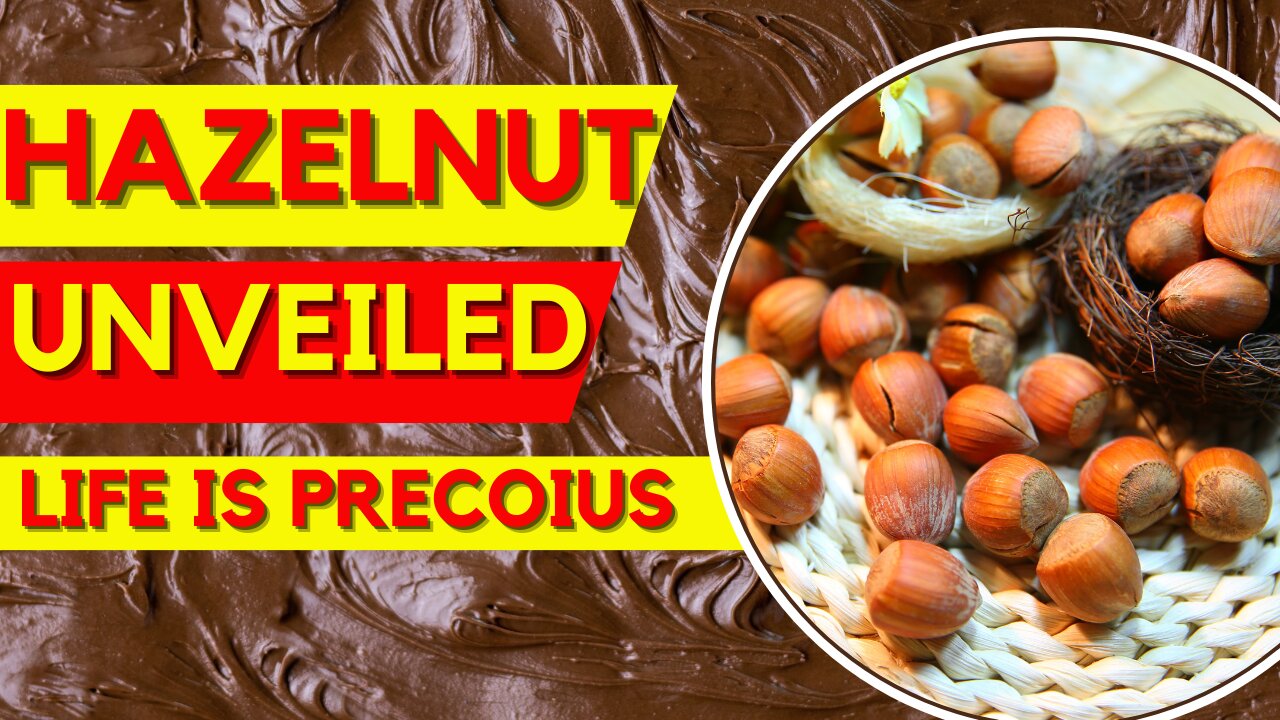 Hazelnuts Unveiled : A Nutrient-Rich Journey to a Healthier You | Healthy Life With Maani