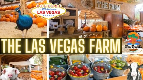 Visiting The Las Vegas Farm In Las Vegas, Nevada