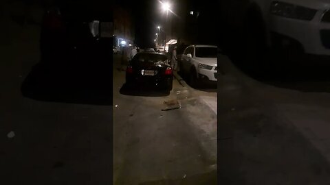 Cat's Territory