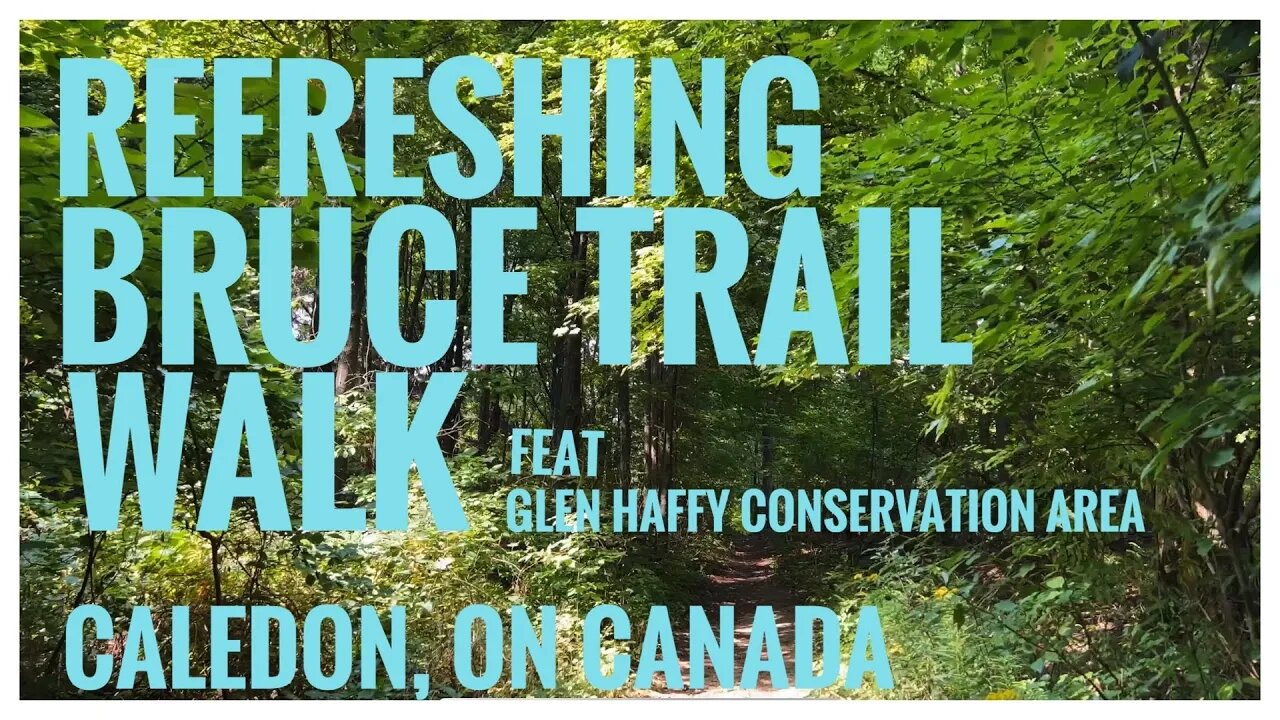 Refreshing Bruce Trail Walk | Happy & Calm Music | Nature Therapy | Glen Haffy C.A. Caledon, ON 🇨🇦