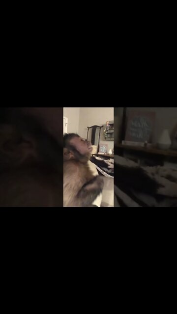 Telling her daddy about her day! #Shorts