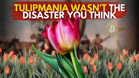 Bitcoin vs Tulipmania | Debunking the Myths of Both Bubbles