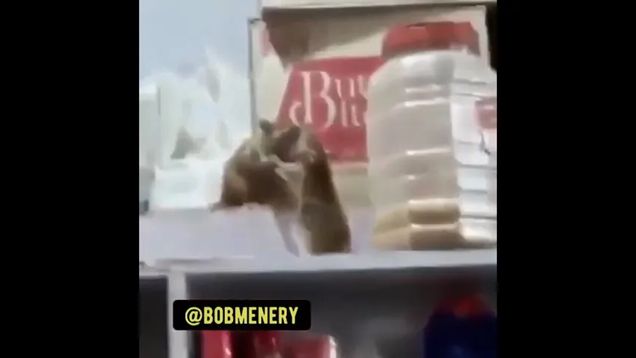 Rat Wrestle