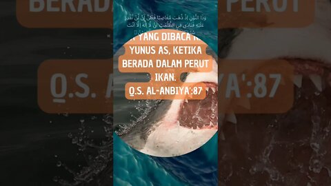 DOA NABI YUNUS AS, KETIKA BERADA DALAM PERUT IKAN