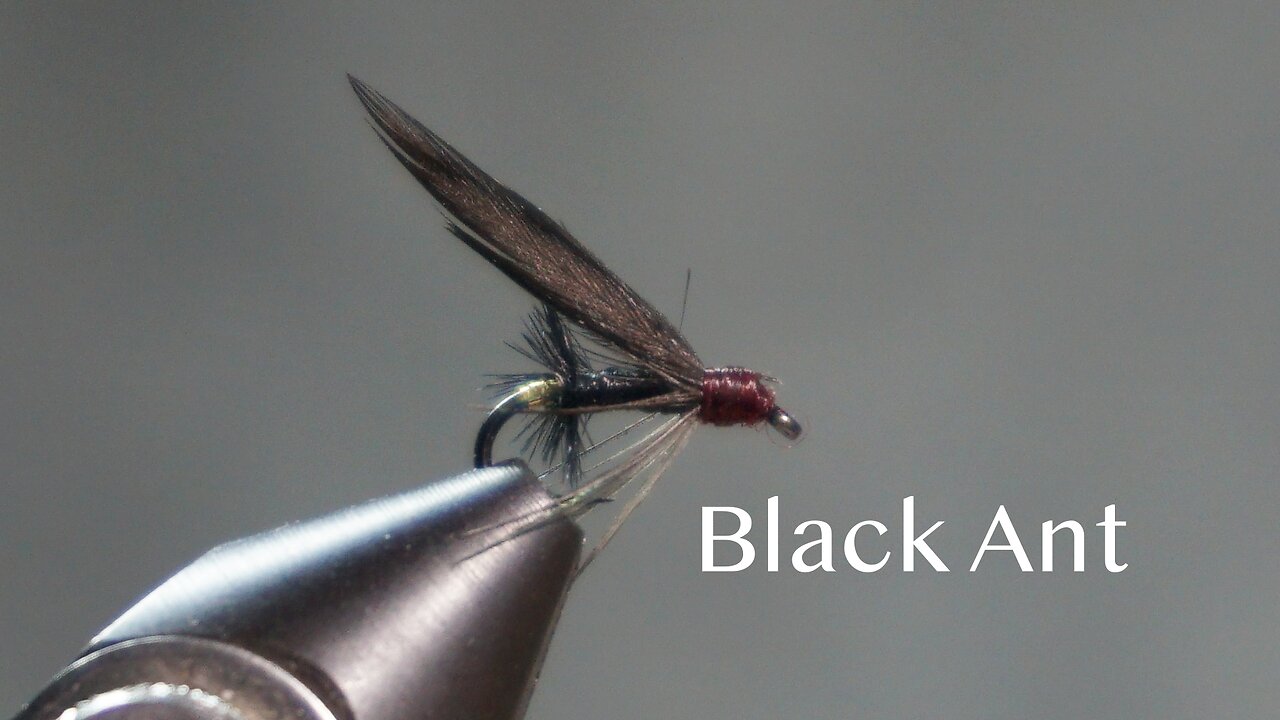 Black Ant (from Favorite Flies and Their Histories by Mary Orvis Marbury)