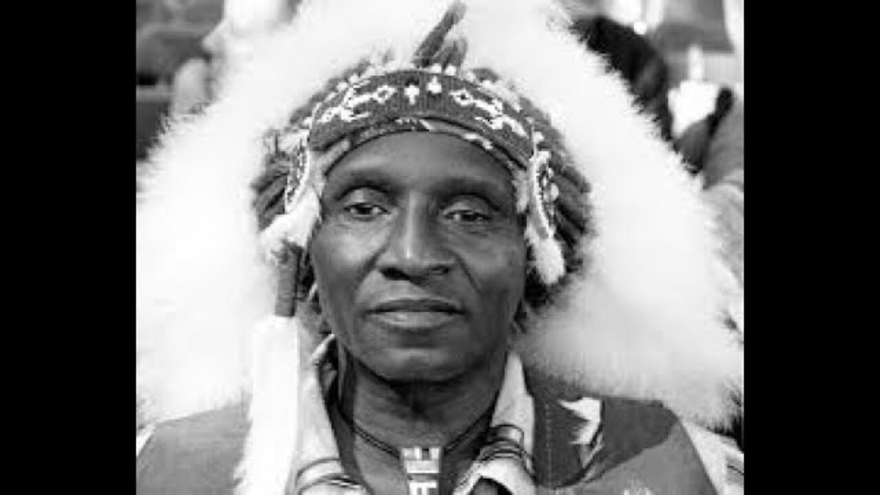 Undeniable Proof Blacks Were In America First Part II