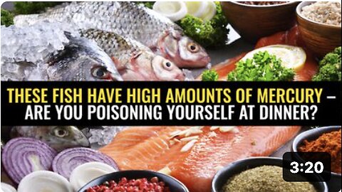 These fish have high amounts of mercury – are you poisoning yourself at dinner?