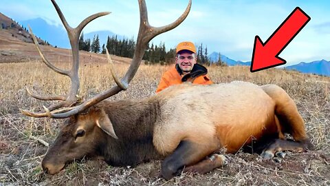 Sorry elk 😢I Finally hunted an Elk! Hunting an elk in wild