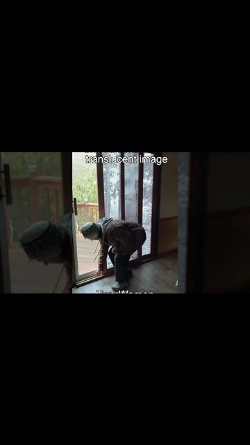 Shoji Doors with translucent images #shorts