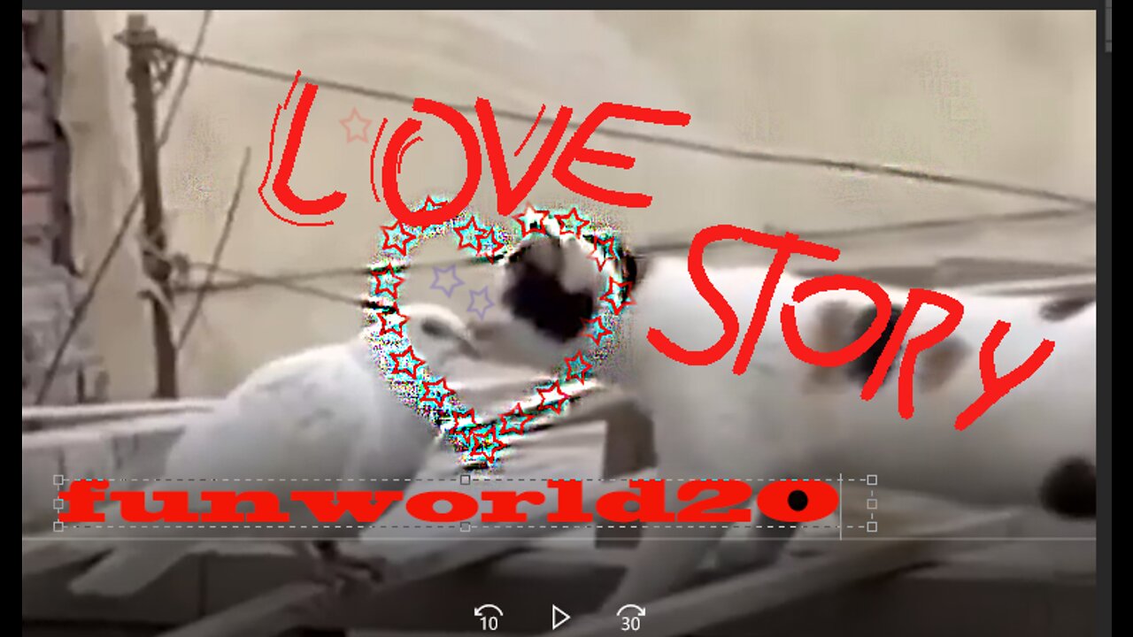 Love Story