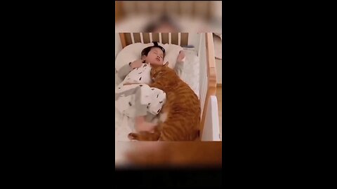 Funny cats 🐱 and dog’s 🐶 l funny videos 😂😂😂