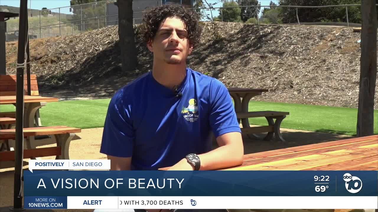 Eagle scout creates a vision of beauty