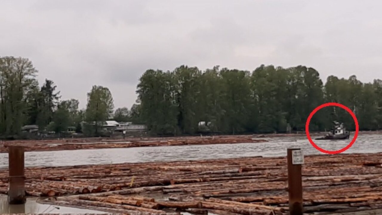 Amazing small tug boat pulling massive logs with ease, another seems to be riding on the logs.