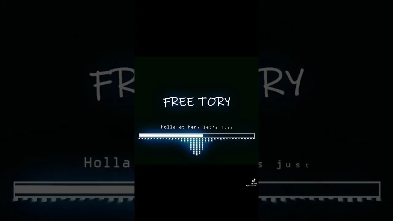 Collection | Free Tory Lanez Tribute