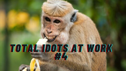 TOTAL IDIOTS AT WORK #4