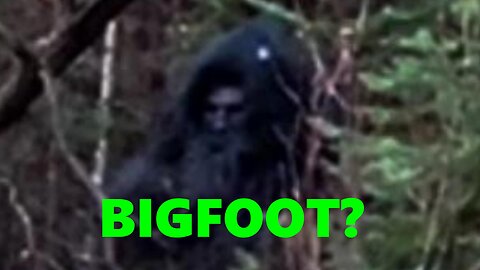 Bigfoot Creature: Not The Typical Sasquatch - But Something Much More Bizarre