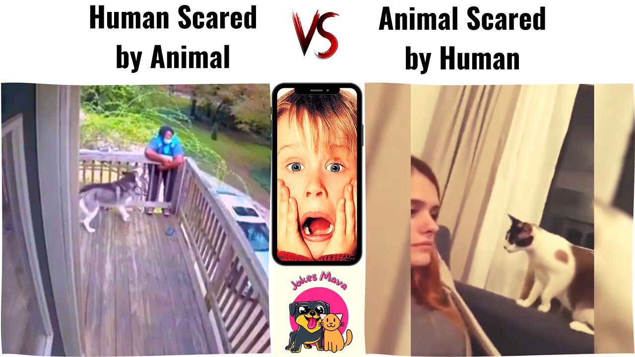 Amazon Girl 😰 Vs 🙀 Animal | 😨 Scary Moments | #animal #funny #chasing #attack #laugh