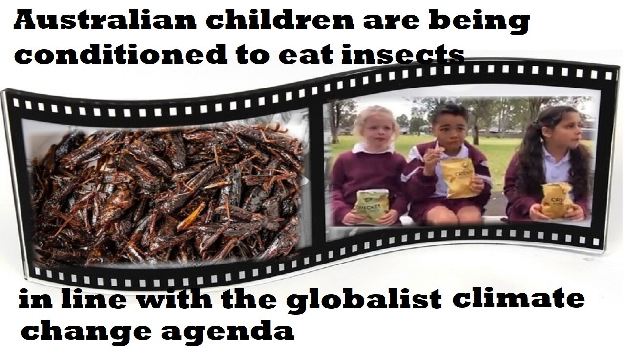 1,000 Australian schools add ‘eco-friendly’ bug snacks to canteens (Video Clip)