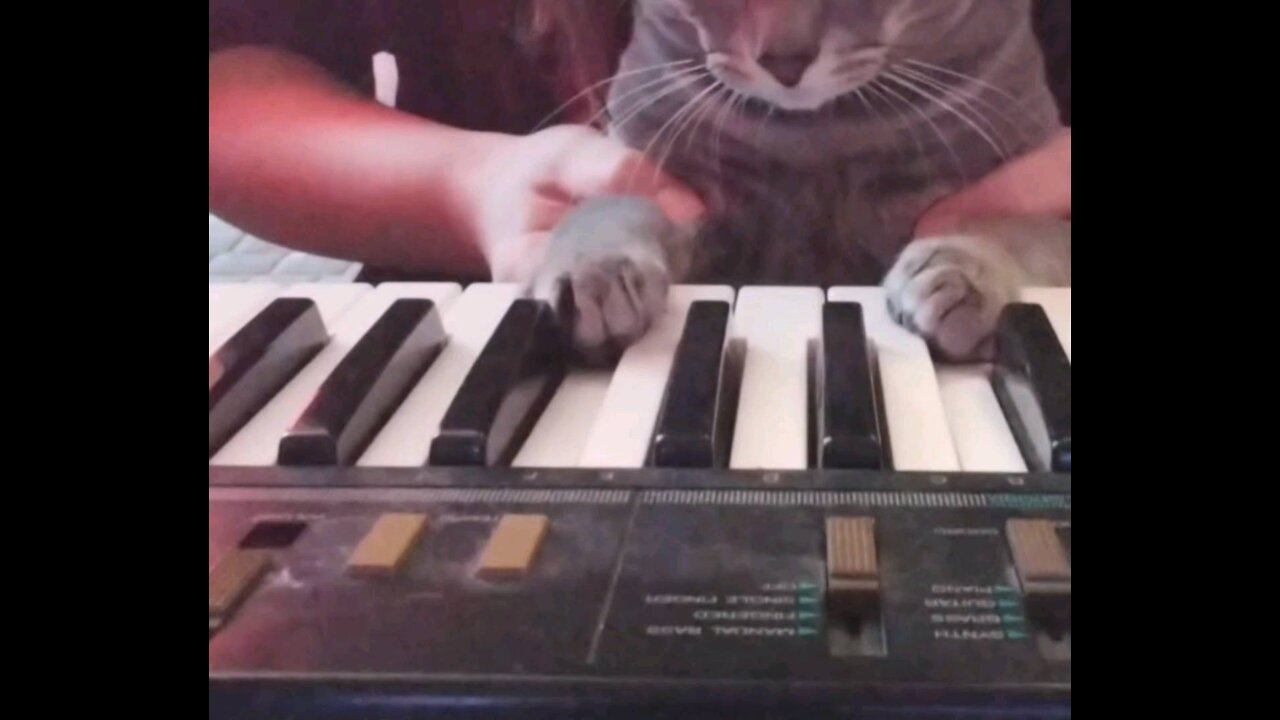 Blue Plays the piano for 6 seconds straight