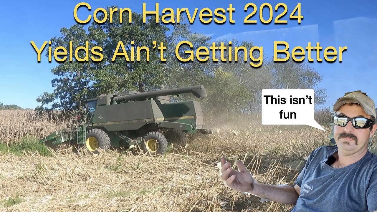 Corn Harvest 2024: Yields Ain't Getting Better, This really isn't fun