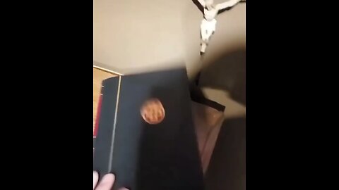 A 30 second sermon on race in the Bible