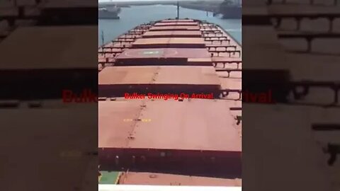 Worldwide Shipping Experience. Bulk Carrier Swinging For Berthing.